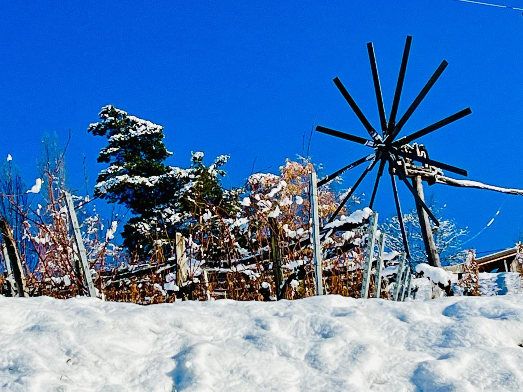 Ferienhaus Sausalblick Großklein Εξωτερικό φωτογραφία