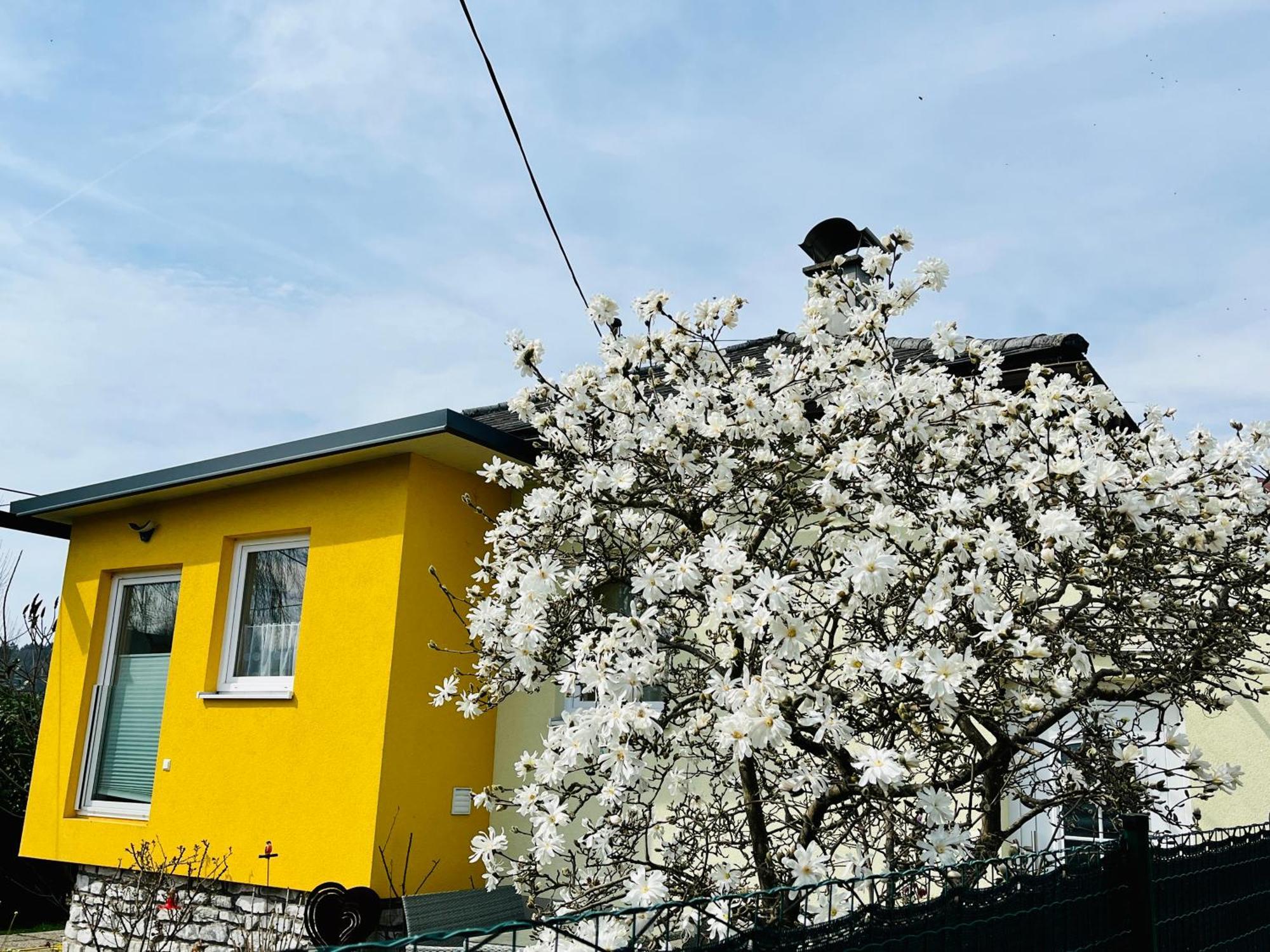 Ferienhaus Sausalblick Großklein Εξωτερικό φωτογραφία